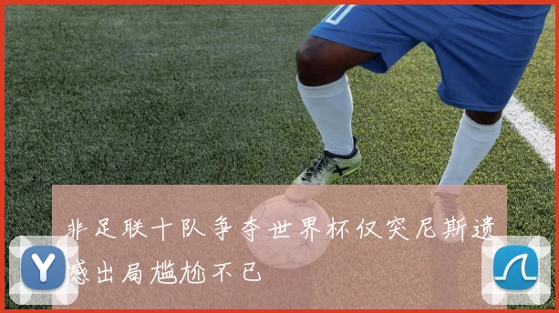 非足联十队争夺世界杯仅突尼斯遗憾出局尴尬不已