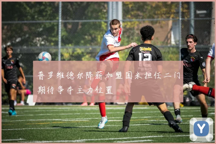 普罗维德尔降薪加盟国米担任二门期待争夺主力位置