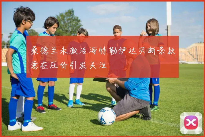 桑德兰未激活海特勒伊达买断条款意在压价引发关注